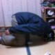 koji.kawaguchi3